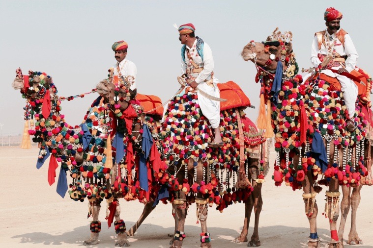 Pushkar Deve Panayırı (Pushkar Camel Fair)