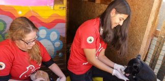 Akbank, 2000 Üniversiteli Genci “ Şehrin İyi Hali ” Projesine Katılmaya Davet Ediyor şehrin en iyi hali