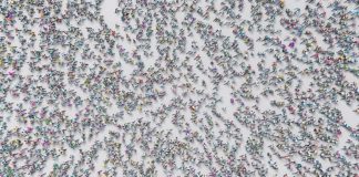 Borusan Contemporary Yeni Sezonu İki Sergiyle Açıyor art