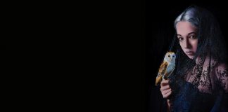 Artweeks@Akaretler Başlıyor ! art