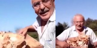 Mantar Toplayınca Dünyanın En Mutlu İnsanı Olan Dayı mantar