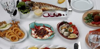 Meos’ta Denize Nazır Balık Keyfi meos