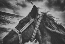 Prohıbıtıons And Mystery Have Always Attracted My Attentıon “Cem Turgay”