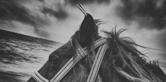 Prohıbıtıons And Mystery Have Always Attracted My Attentıon “Cem Turgay”