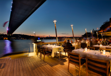 Lacivert Celebrates Its 20th Anniversary