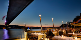 Lacivert Celebrates Its 20th Anniversary