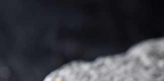 Defne Kayacık – Otantik Figürleri Modern Hayata Adapte Etmek İstedim