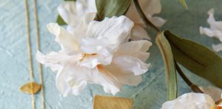 Defne Kayacık – I Wanted to Adapt Authentic Figures to Modern Life