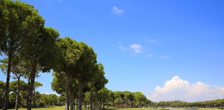 Nuri Özaltın Golf Turnuvası Başlıyor