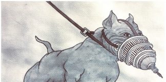 36. Aydın Doğan Uluslararası Karikatür Yarışması Sergisi