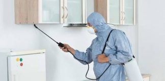 İstanbul Böcek İlaçlama Şirketleri