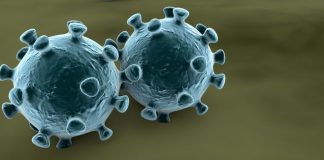 Koronavirüs Sebebi İle Oluşan Olağanüstü Durumun Kira Sözleşmelerine Etkisi