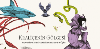 Kraliçenin Gölgesi