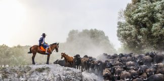 Seymen Bozaslan ile Fotoğraf Sohbeti