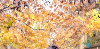 Berke Üsdiken “Salaş Bir Yaşam Seviyorum”