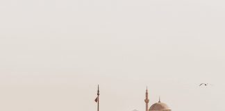 Tolga Sıtkı ile Fotoğraf Üzerine Söyleyişi