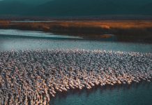 Çağrı Selek ile Keyifli Röportaj