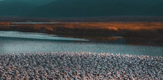 Çağrı Selek ile Keyifli Röportaj